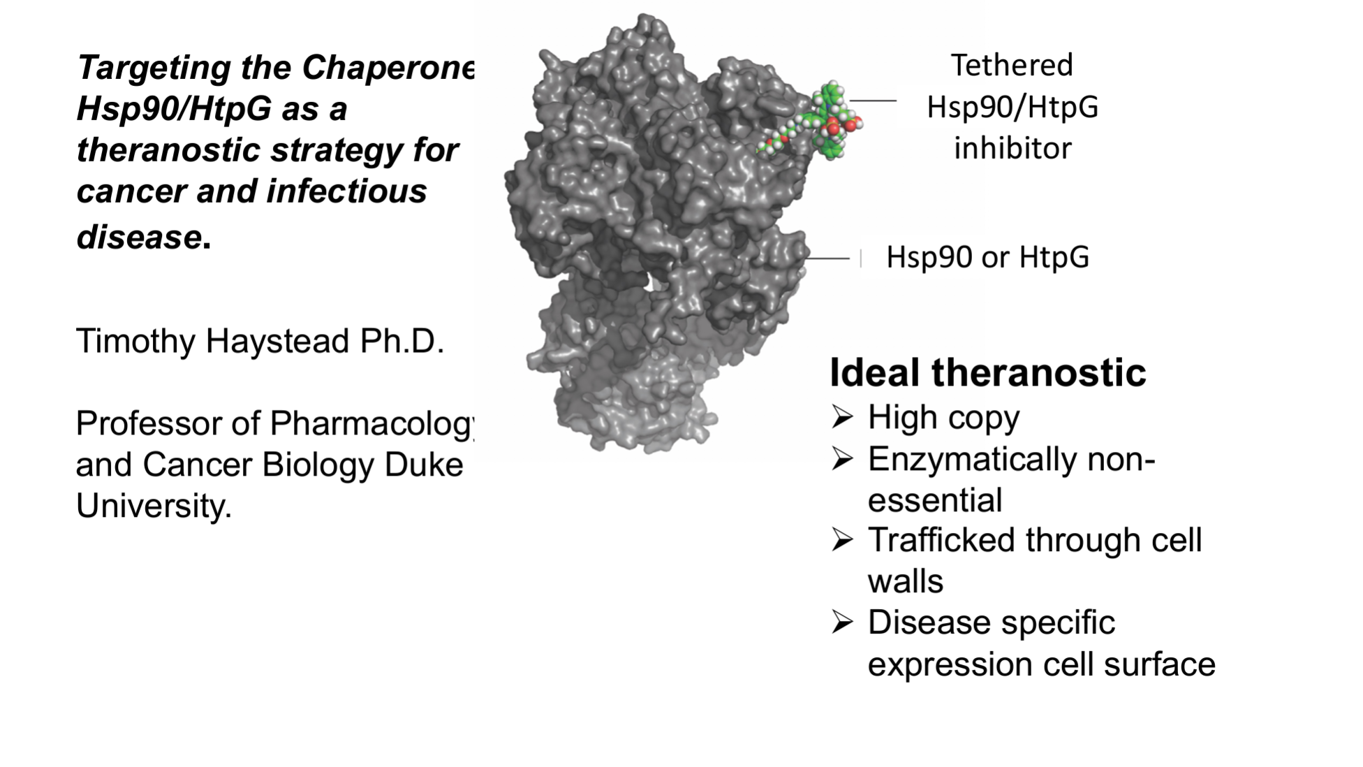 Timothy Haystead PhD