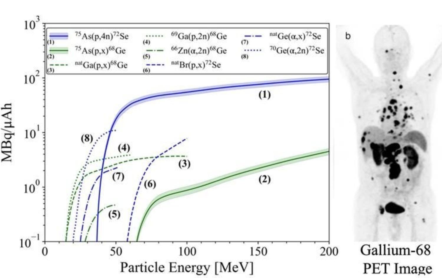Left: production rate as a function of proton energy of parent radioisotopes selenium-72 (Se-72) (1) & germanium-68 (Ge-68) (2). Right, a Positron Emission Tomography (PET) image of a patient with metastatic colon cancer, obtained using gallium-68 (Ga-68)