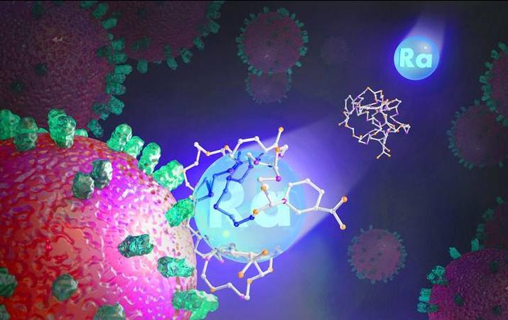 This image depicts a binding molecule delivering radium-223 to a cancer cell. Image courtesy of Adam Malin, Oak Ridge National Laboratory.