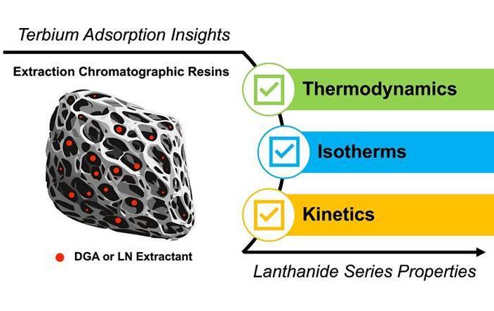Illustration of an idealized extraction chromatographic resin using DGA or LN extractants. By studying the adsorption properties of terbium on these DGA and LN resins, scientists gain insights into these properties for the entire lanthanide series. Image courtesy of Connor Holiski