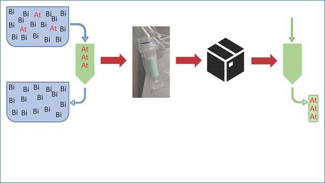 Image courtesy of Texas A&M University The medical radioisotope astatine is separated from bismuth then loaded into a resin column. Once dry, the column is packed for shipping so the astatine can be sent for use at a cancer treatment center.