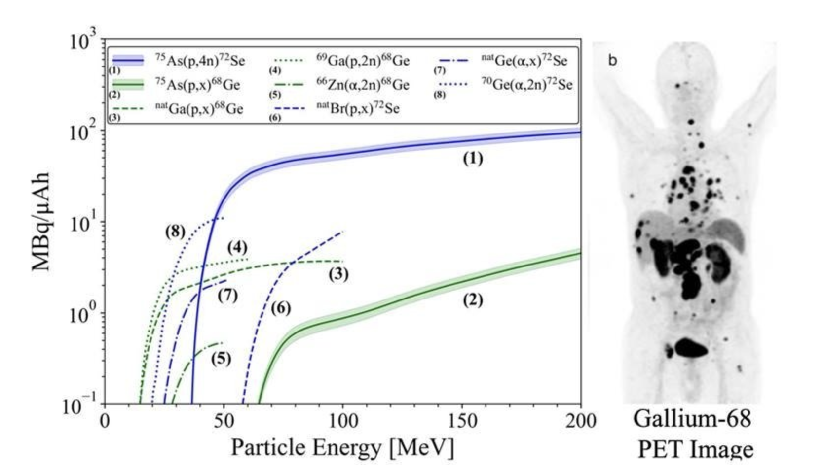 Left: production rate as a function of proton energy of parent radioisotopes selenium-72 (Se-72) (1) & germanium-68 (Ge-68) (2). Right, a Positron Emission Tomography (PET) image of a patient with metastatic colon cancer, obtained using gallium-68 (Ga-68)