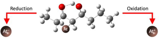 Image courtesy of Jon Burns, University of Alabama at Birmingham Schematic of the astatine-ketone bond breaking to release free astatine-211.